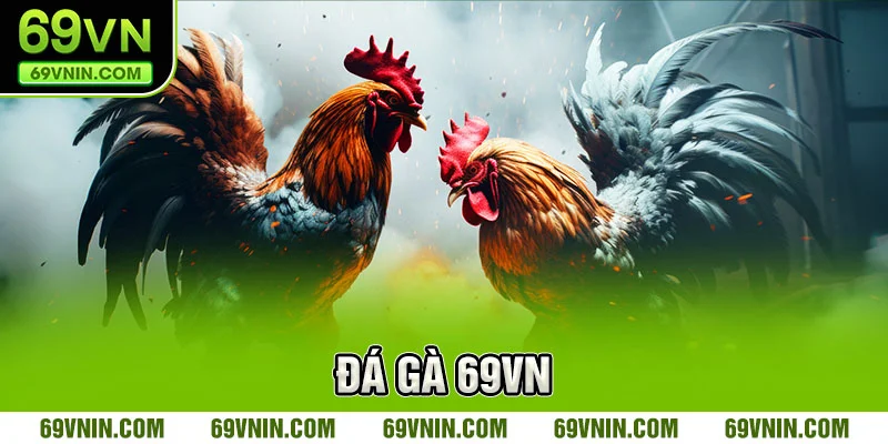 Lý do khiến trò chơi đá gà 69VN trở thành tâm điểm Lý do khiến trò chơi đá gà 69VN trở thành tâm điểm