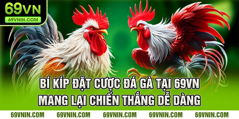 Bí kíp đặt cược đá gà tại 69VN mang lại chiến thắng dễ dàng