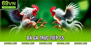 Đá gà trực tiếp C5