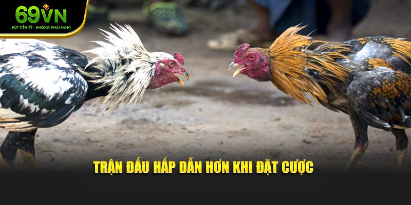 Trận đấu hấp dẫn hơn khi đặt cược